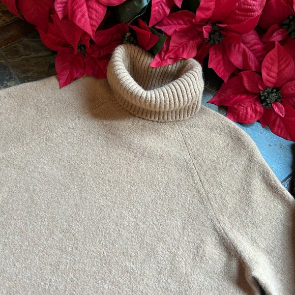 J. Crew Sweaters - J. Crew Soft Wool Blend Turtleneck Sweater